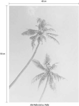 Komar Poster "Miami Palms", Pflanzen, Blätter, Höhe: 70cm