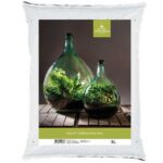 esschert design Übertopf "Esschert Design Blumenerde 2 kg 5 Liter Terrarium Gewächshaus Erde Substrat"