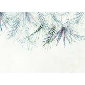 Komar Fototapete Palm Spring B/L: ca. 350x250 cm