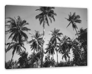 Pixxprint Leinwandbild Tropische Palmen Kunst B&W, Tropische Palmen Kunst B&W (1 St), Leinwandbild fertig bespannt, inkl. Zackenaufhänger