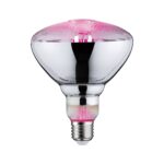 Paulmann LED-Pflanzenlampe E27 Grow Green 6,5W