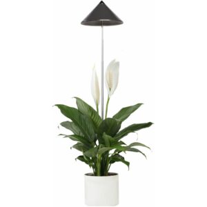 Parus by Venso SUNLiTE 7W LED Vollspektrum Pflanzenlampe Grau, Indoor Plants Pflanzen Beleuchtung, mit ausziehbarem Teleskopstab, Parus Pflanzenlampe