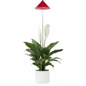 SUNLiTE 7W led Vollspektrum Pflanzenlampe Rot, Indoor Plants Pflanzen Beleuchtung, mit ausziehbarem Teleskopstab, Parus Pflanzenlampe für kleine und