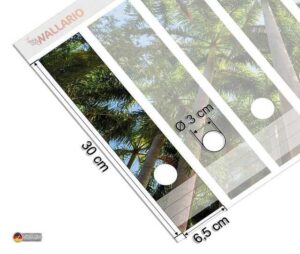 Wallario Etiketten Palmen von unten betrachtet, Ordnerrücken-Sticker in verschiedenen Ausführungen