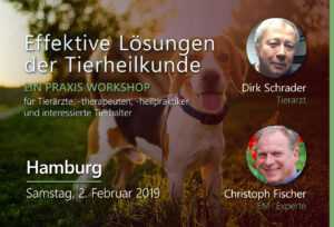 Praxis-Workshop – Effektive Lösungen in der Tierheilkunde | Hamburg