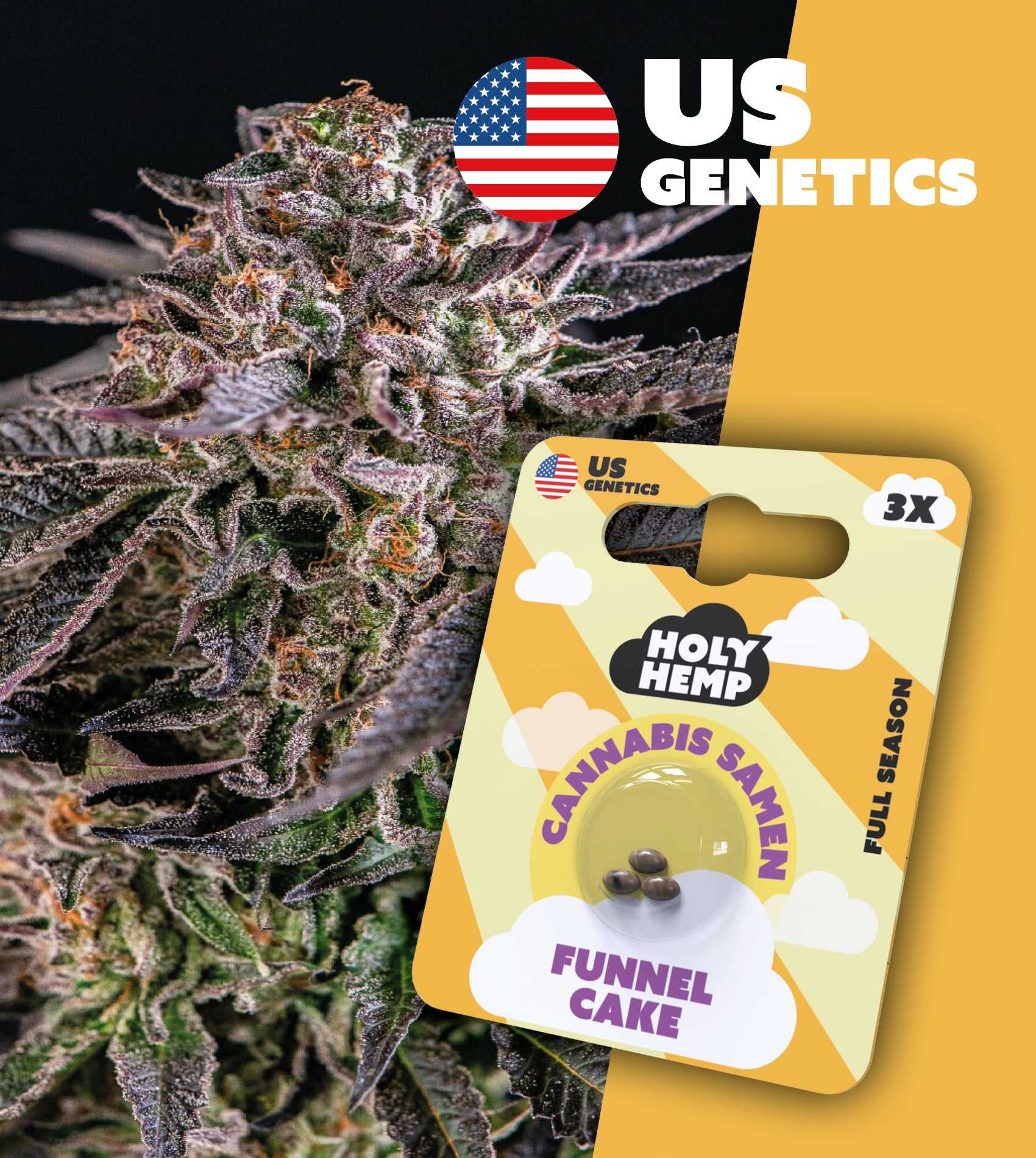 Funnel Cake – Cali Seeds