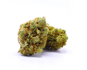 Premium Amnesia Haze: Vitalität und Frische CBD: 13