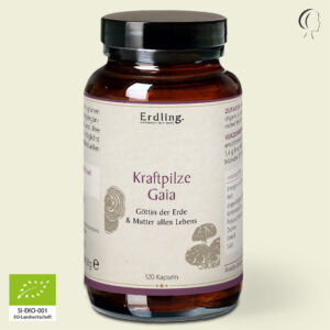 BIO Kraftpilze Gaia - Vitalpilz Synergetikum – 120 Kapseln