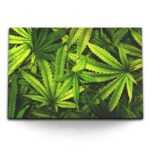 Sinus Art Leinwandbild 120x80cm Wandbild auf Leinwand Cannabis Hanf Hanfblätter Hanfpflanze G, (1 St)