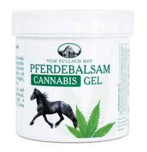 vom Pullach Hof Körpercreme Pferdebalsam Cannabis Gel 250ml mit Hanf Öl und Eukalyptus Öl, 1-tlg., Pflegende Eigenschaften aus Ölen und Extrakten bekannter Pflanzen