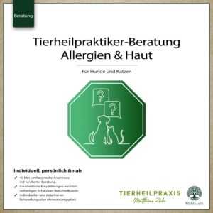 THP-Beratung: Immunsystem und Haut