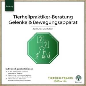 THP-Beratung: Bewegungsapparat