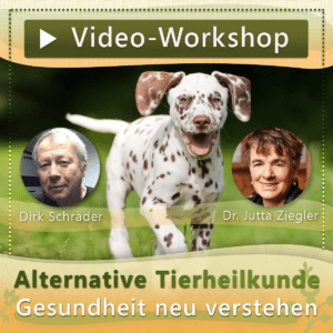 Video-Workshop: &quot,Alternative Tierheilkunde&quot, Dr. Jutta Ziegler / Dirk Schrader