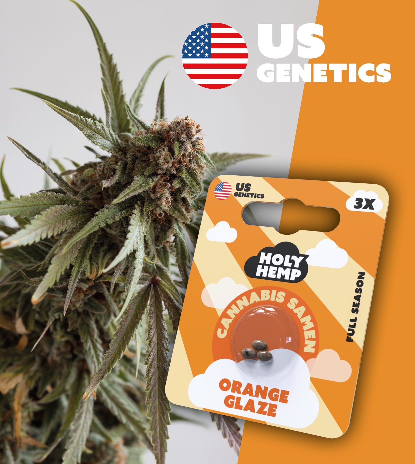 Orange Glaze – Cali Seeds